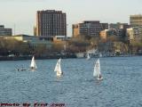 Summer Sailing, Charles River, MIT Boathouse