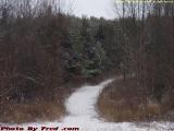Hill Trail with Snow, Morning, Groveland, NY