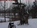 Wheelbarrow and Stump in Snow, Groveland, NY