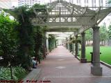 Summer Arbor, Financial District, Boston