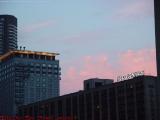 Sunset Pinks, Evening Lights, Huntington Ave., Boston
