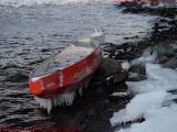 Frozen Castaway, Charles River at Mass. Ave., Boston
