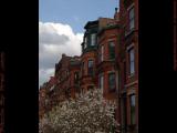 Bricks, Blooms and Clouds, Commonwealth Avenue