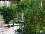R/C Sailboat, Boston Public Garden
