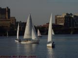 Afternoon Sails on the Charles, Boston