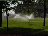 Sprinklers, Columbus Park, Boston