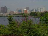 City View, Esplanade near Boston University