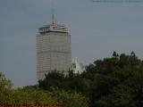 Towers Over Treetops, from Esplanade