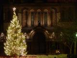 Bright Christmas Tree, Trinity Church, Boston