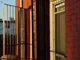 Bricks and Window Grates in Morning Sun, East Boston