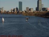 Boatscape With Gull, from Boston University Bridge