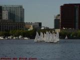 Poised to Race? Sailboats on the Charles, from Esplanade