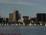 Community Boating, Kendall Square, from Esplanade