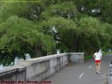 Jogger at The Fens, Esplanade at Storrow Drive