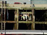 Buoys Waiting For Work, Portland, Maine