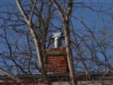Winter Chimney Study, Groveland, NY