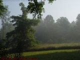 Pastoral Morning Fog, Groveland, NY