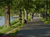Jogging Trail, Esplanade, Boston