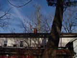 Roofline, Bare Trees, Groveland, NY