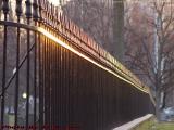 Fence Reflecting Sunset, Central Burying Ground, Boston