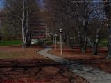 Manicured Walkway, Research Drive, Worcester, Mass.
