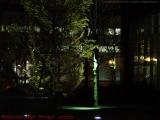 Midnight Lighting and Trees, South Station Area, Boston