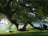 Relaxation on the Esplanade, Boston