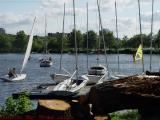 Sailing Tame Waters, Near Community Boating, Boston