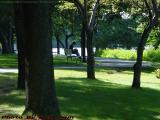 Urban Solitude, Esplanade near the BU Bridge, Boston