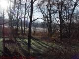 Frosty Fall Morning, Groveland, NY