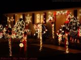 Holiday Lights, Lynn Fells Parkway Area