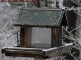 Bird Feed-house with Icicles, Groveland, NY