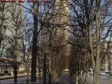 Winter's Bare Tree Path, Christian Science Plaza, Boston