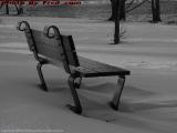 Winter Park Bench in Grey, Boston Esplanade
