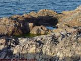 Rocky Coast with Reflective Pool, Marblehead, Mass.