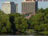 Summer City Seclusion, Esplanade Perspective, Boston