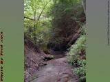 Waterway Cut to Shale, House Gully, Groveland, NY