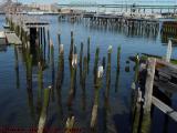 Old Wharves, near Liberty Plaza, East Boston