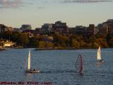 Autumn Sunset Sailing Near Hatch Shell, Charles River