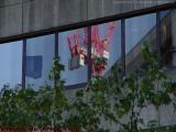 Reflections of Construction, Tufts Dental School Windows