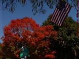 Foliage, Flag and Directions, Concord, Massachusetts