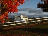 Pasture and Foliage at Sunset, Brooksby Farm, Peabody