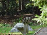 Park Bench Perspective, Lynn Woods Rose Garden