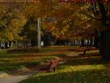 Fall Foliage, Lynn Commons, Lynn, Massachusetts