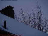 Winter Rooftop With Moon, Elm Street, Somerville, Mass.