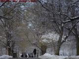 Boston Commons Walking Path Wrapped In Winter