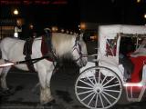 Horse and Carriage, Near Fanieul Hall, Boston