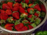 Strawberries in a Bowl, Medford, Massachusetts