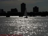 Sailboat And Sparkles, Charles River, from Esplanade