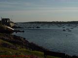 Late Day, Low Tide, Late May, Marblehead Harbor